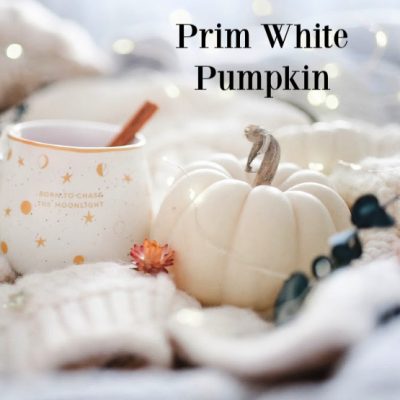 Prim White Pumpkin Fragrance Oil