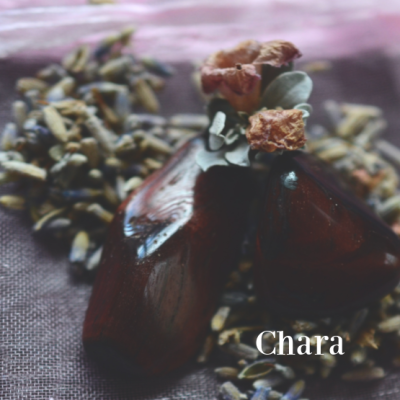 Chara Fragrance Oil